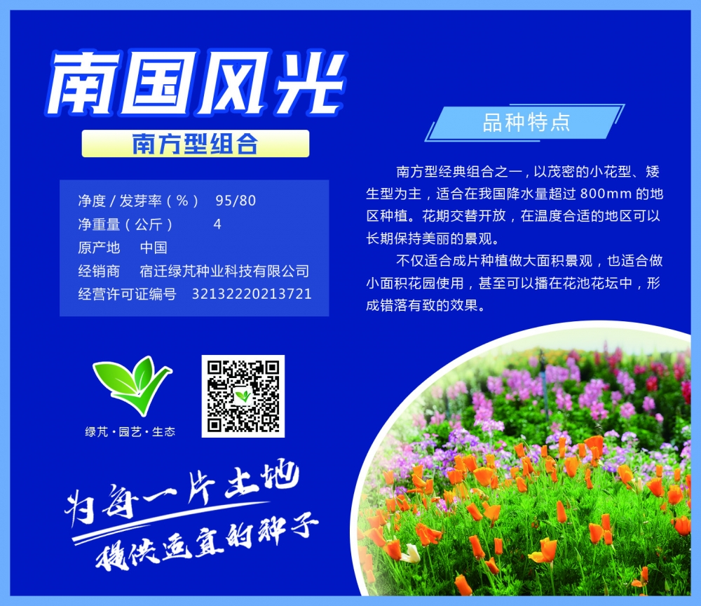 南國風(fēng)光