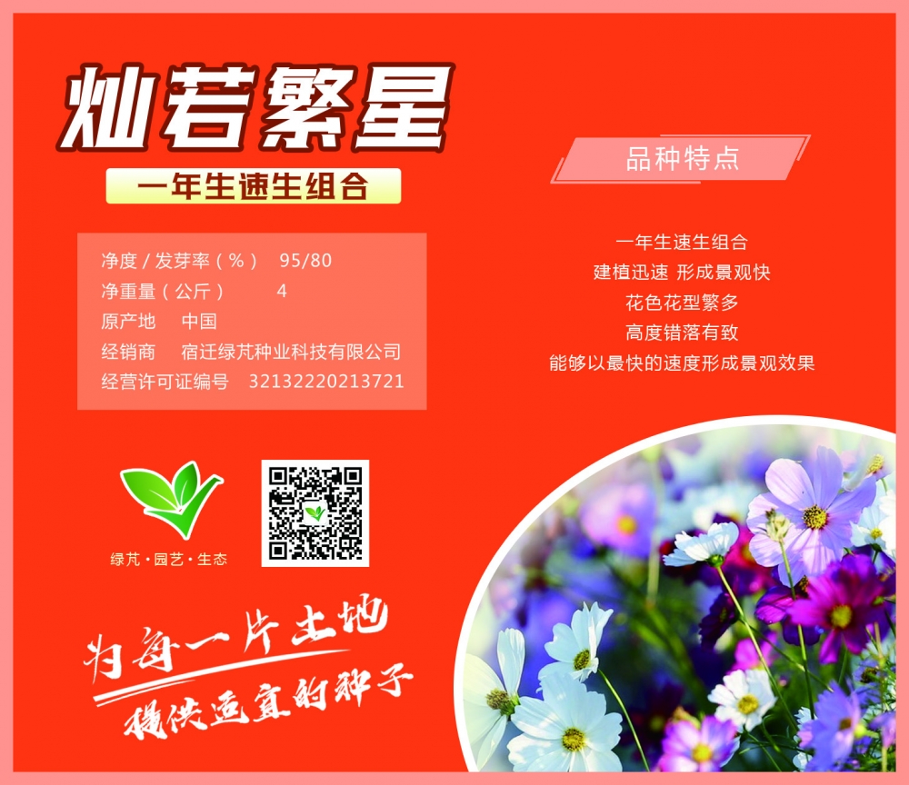 燦若繁星-一年生速生組合