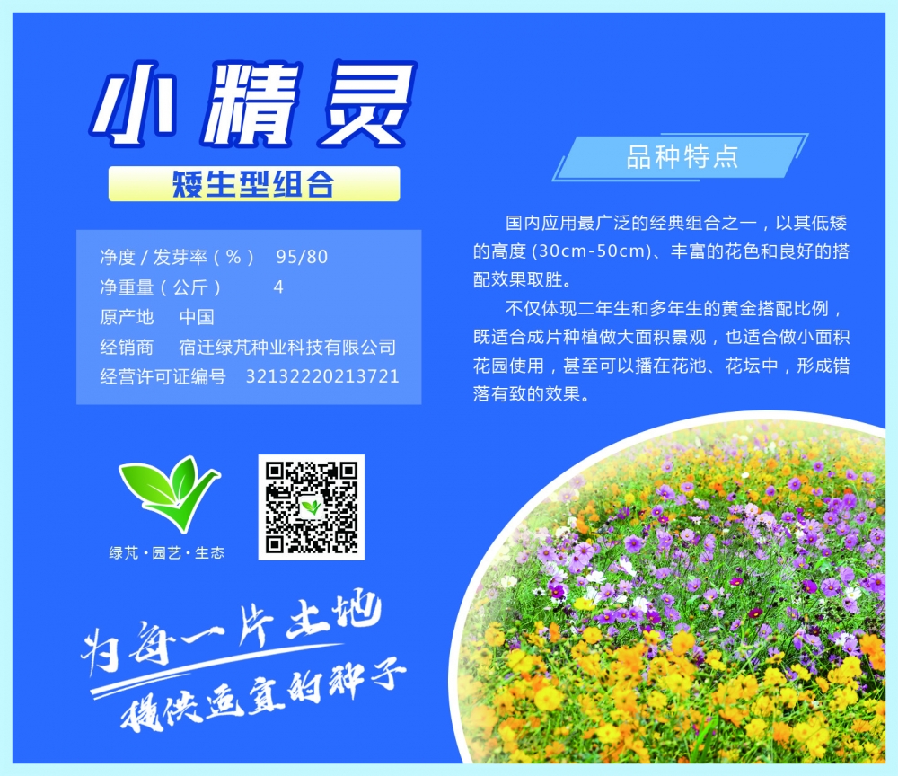 小精靈