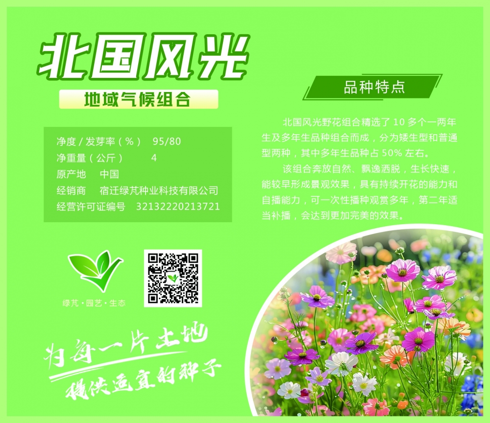 北國風(fēng)光組合
